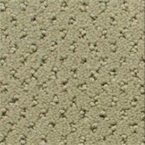 Power Point - Ivy Cottage Swatch