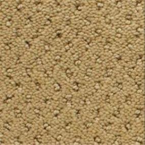 Power Point - Megellan Swatch