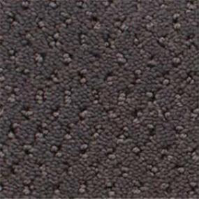 Power Point - Museum Swatch