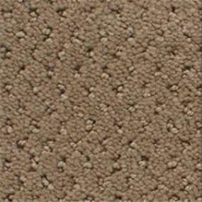 Power Point - Pretzel Swatch