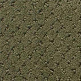 Power Point - Rain Forest Swatch
