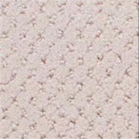 Power Point - Rose Pedal Swatch