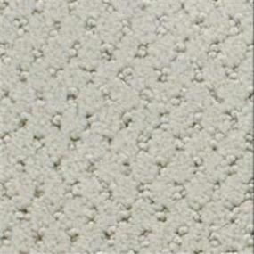 Power Point - Sage Swatch