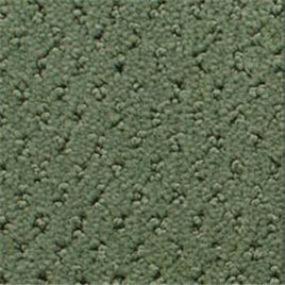 Power Point - Salem Swatch