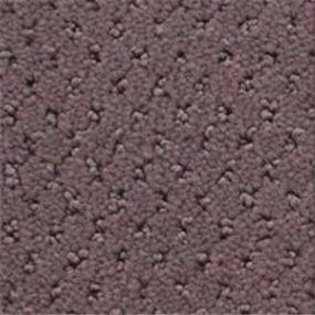 Power Point - Serenade Swatch