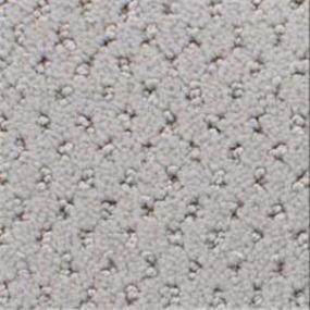 Power Point - Silver Wood Swatch