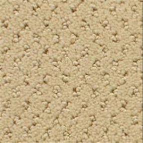 Power Point - Spiced Curry Swatch