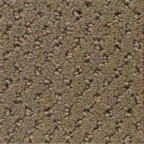 Power Point - Toffee Swatch