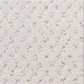 Power Point - Vanilla Swatch