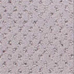 Power Point - Violetta Swatch
