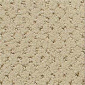 Power Point - Warm Toast Swatch