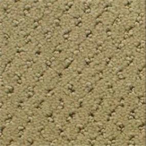 Power Point - Willow Wood Swatch