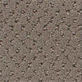 Power Point - Wood Smoke Swatch