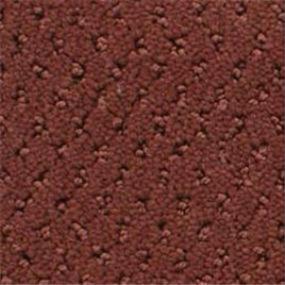 Power Point - Woodrose Swatch