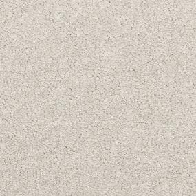 Cashew Swatch Thumbnail