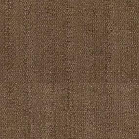 Forward Zoomed Swatch