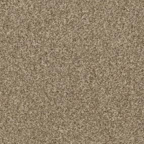 Chamois Zoomed Swatch