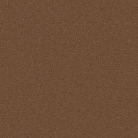 Sienna Zoomed Swatch