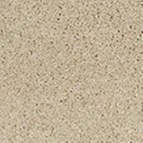 Cashmere II - Yearling Swatch