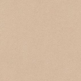 Posh Plushy - Raw Umber Swatch