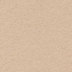 Raw Umber Zoomed Swatch