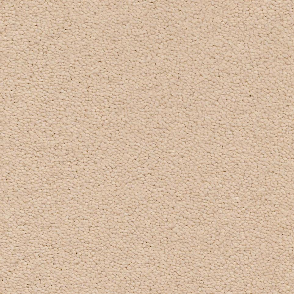 Raw Umber Zoomed Swatch