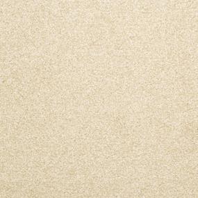 Delight - Suede Swatch