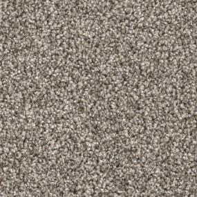 Chestnut Zoomed Swatch