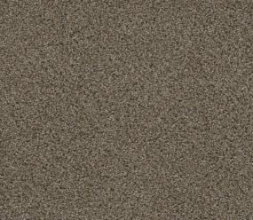 Walk In The Park - Copper Mine Swatch