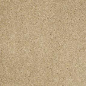 Chamois Swatch Thumbnail