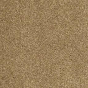 Tiger Eye Swatch Thumbnail