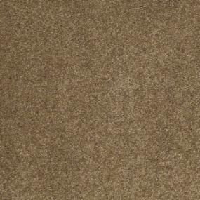 Bronze Glow Swatch Thumbnail