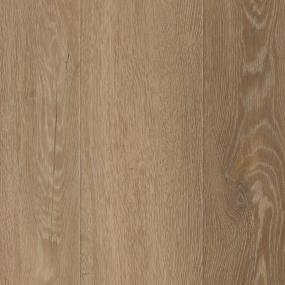 Desert Tan Zoomed Swatch