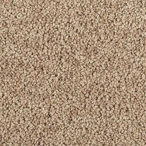 Delightful Intent - Sandy Cove Swatch