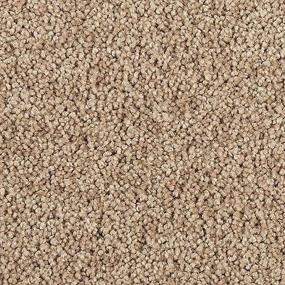 Sandy Cove Zoomed Swatch