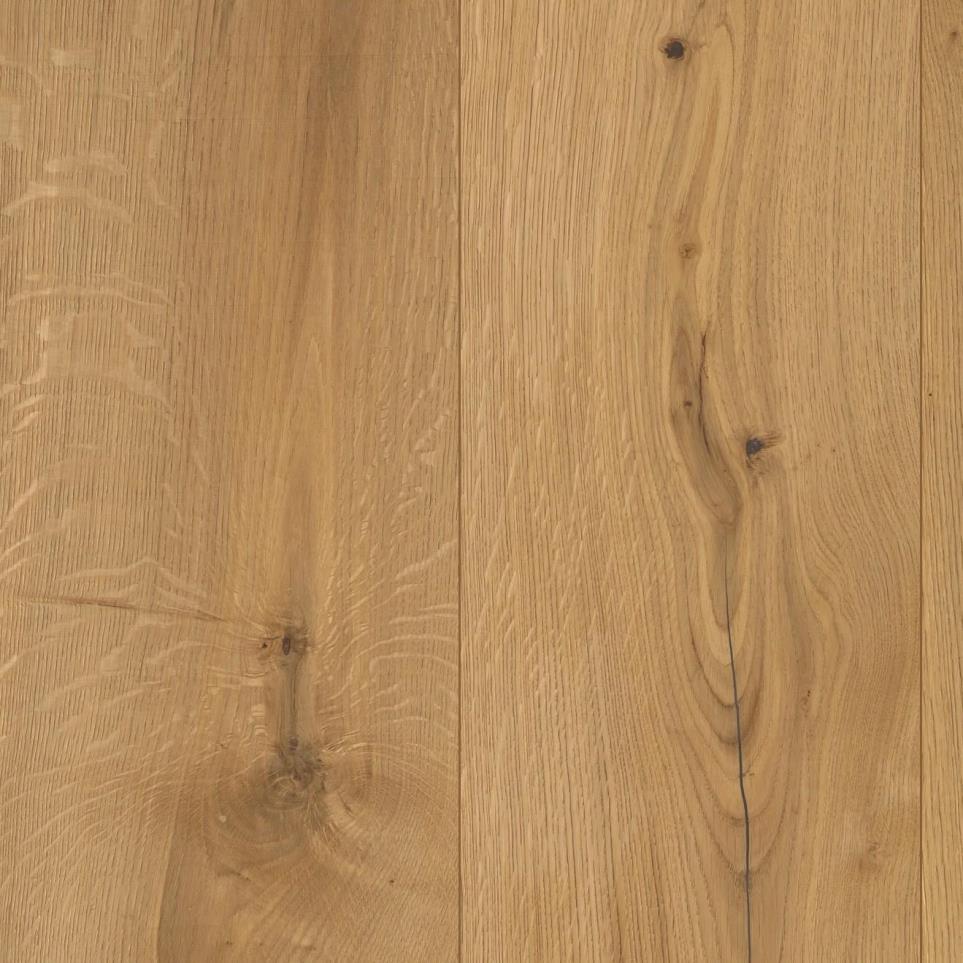 Warm Ivory Zoomed Swatch