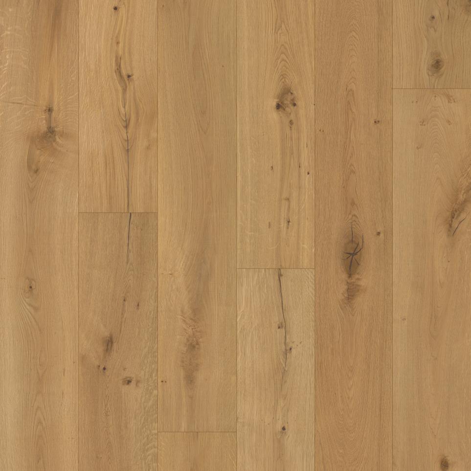 Timeless Treasure Swatch