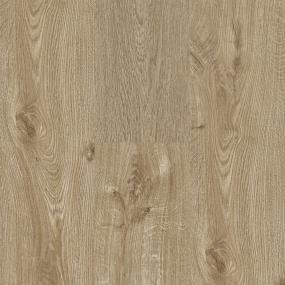 Roosevelt Campobello - Creamy Almond Swatch