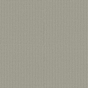 Gray Owl Swatch