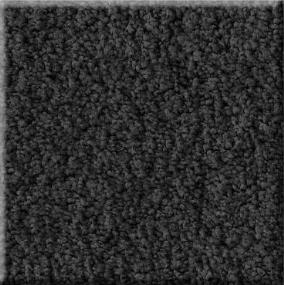 Luxe Feel II - Blackout Swatch