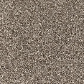 Cinnamon Tea Zoomed Swatch