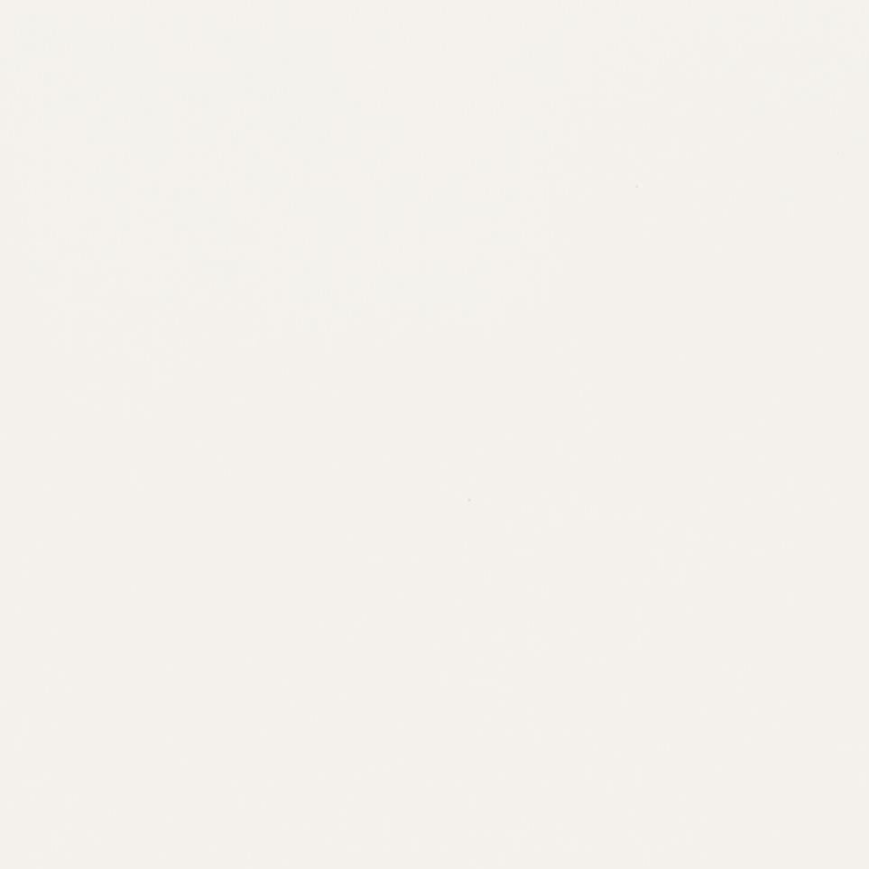 Matte Arctic White Matte Zoomed Swatch