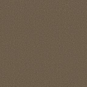 Brass Rings I - Sahara Swatch