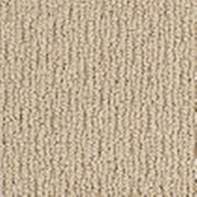 Clearwater Beach - Big City Beige Swatch