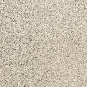 Pacific Grove - Pebble Beach Swatch