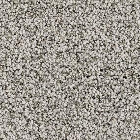 Castle Grounds - Wintermoss Swatch