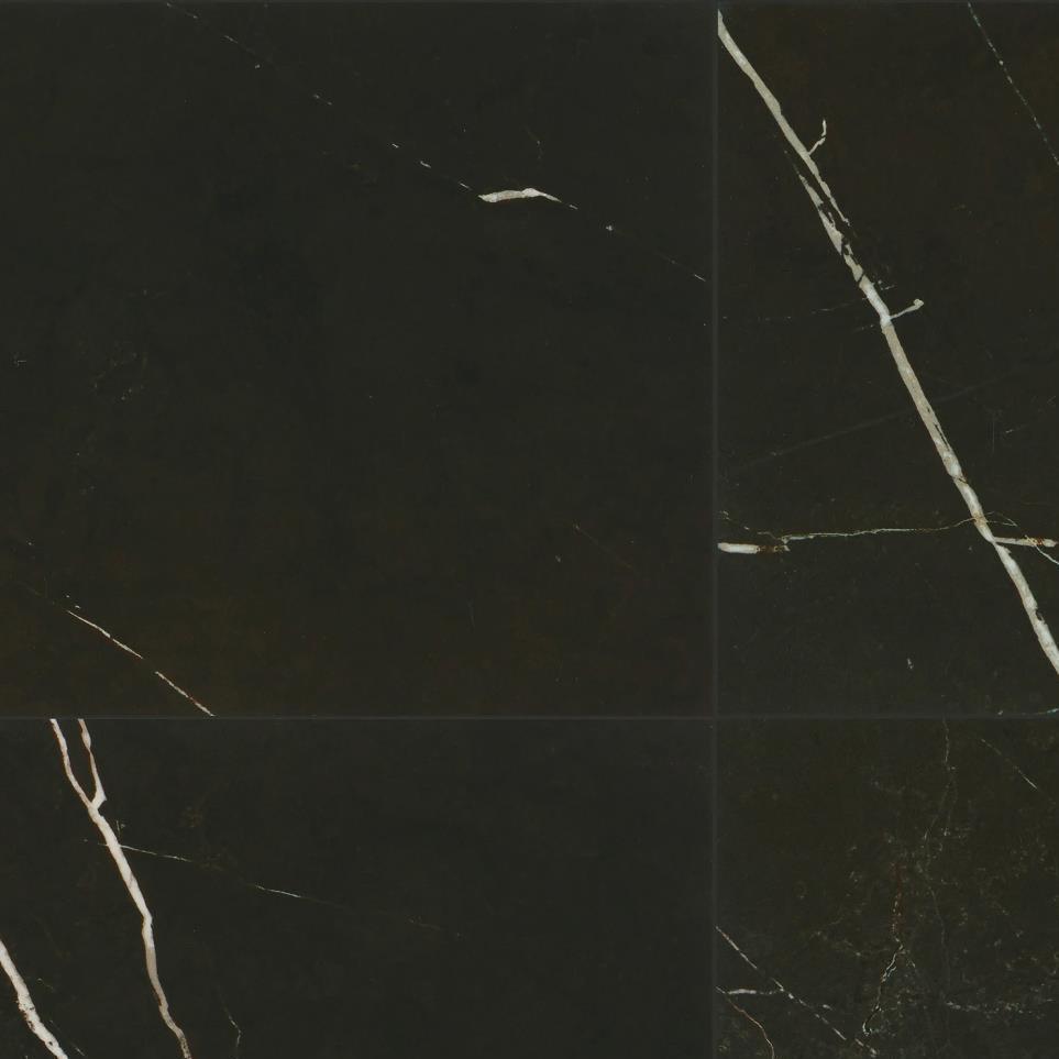 Nero Polished Zoomed Swatch