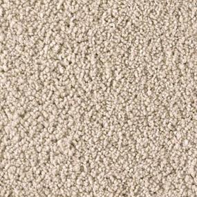 First Choice Zoomed Swatch