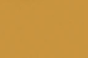 Expanse Matte 47X71 - Pumpkin Swatch
