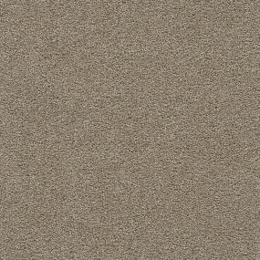 Clear Skies II - Warm Teak Swatch